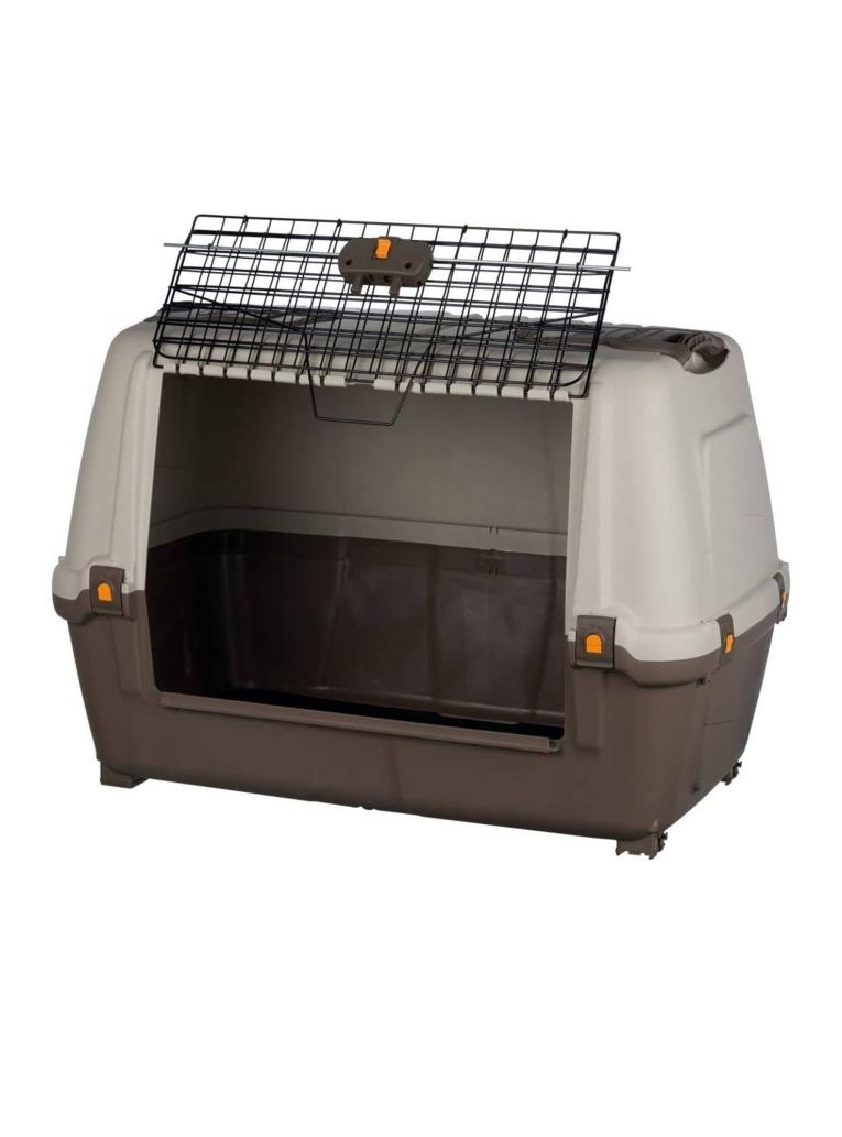 Oggettistica Animali Bianco Grigio, Made in Italy - Faustal
