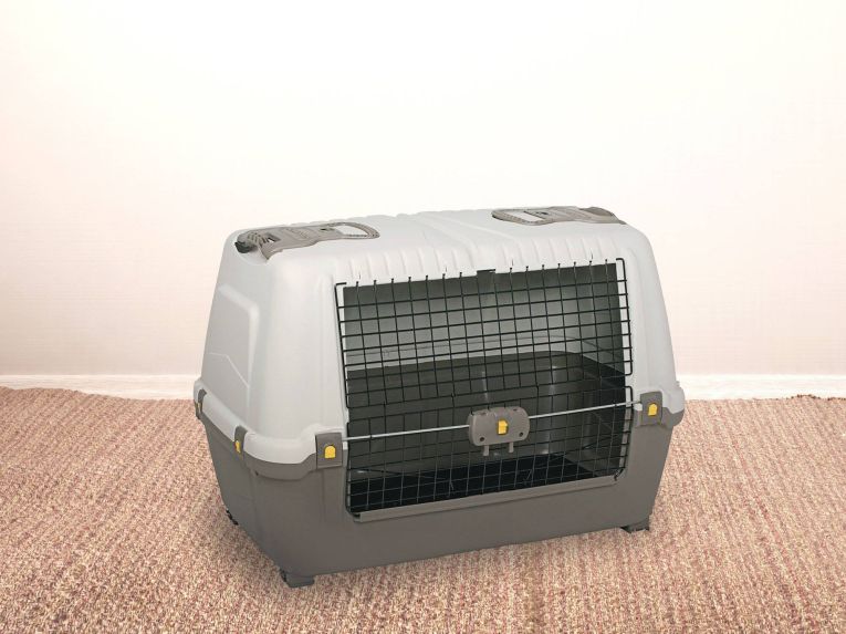 Oggettistica Animali Bianco Grigio, Made in Italy - Faustal