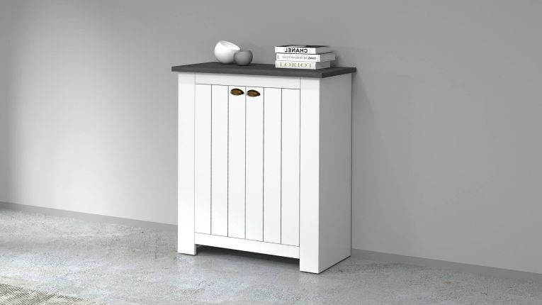 Scarpiera Tonio, Porta scarpe salvaspazio a 2 ante, Armadio multifunzione da ingresso, 84x42h100 cm, Bianco e Ardesia