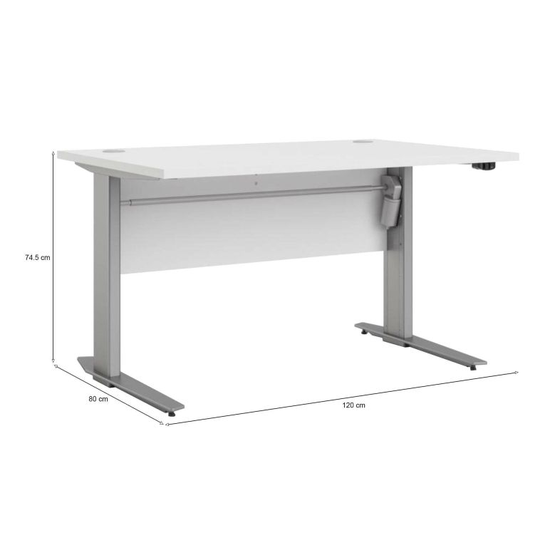 Scrivania Albertine, Scrittoio multiuso, Tavolo per ufficio porta PC, Piano di lavoro, 120x80 h75 cm, Bianco e Grigio