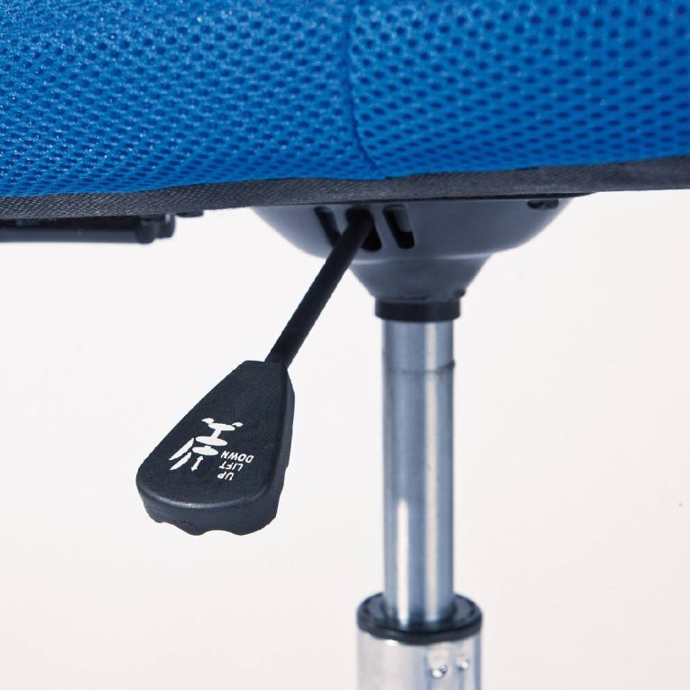 Sedia con Ruote blu Regolabile una Sedia, 5 Ruote - Falerna
