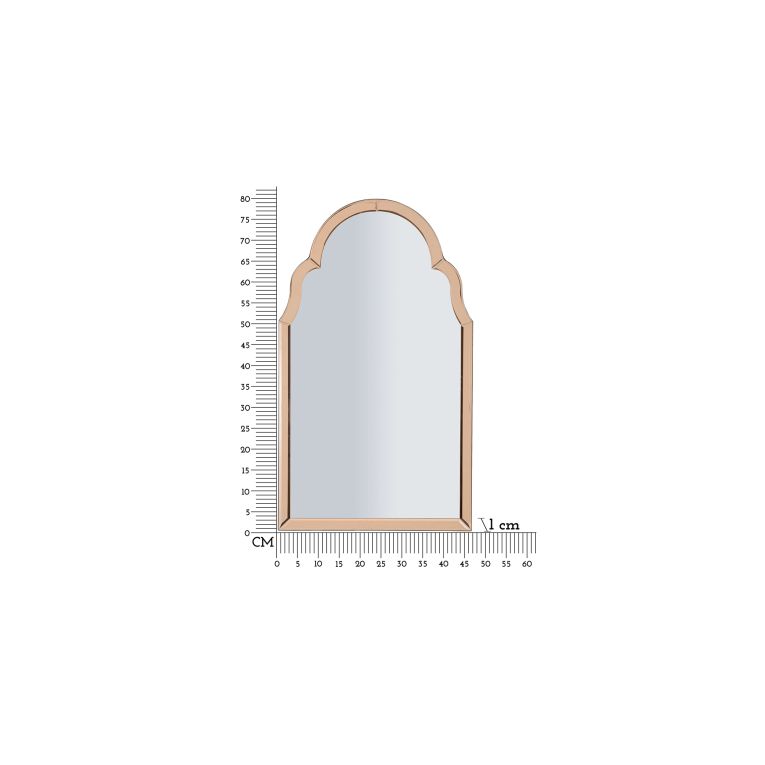 Specchio Rosa Trasparente Cornice Sagomata Forma Rettangolare 47x80h cm, Tipologia a Parete - Mostarr