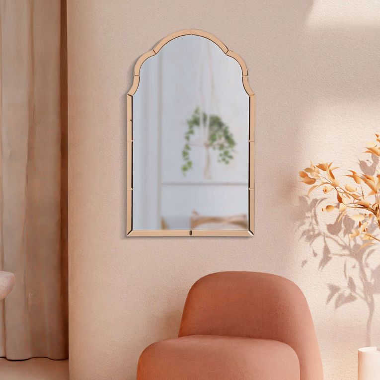 Specchio Rosa Trasparente Cornice Sagomata Forma Rettangolare 62x100h cm, Tipologia a Parete - Gamera
