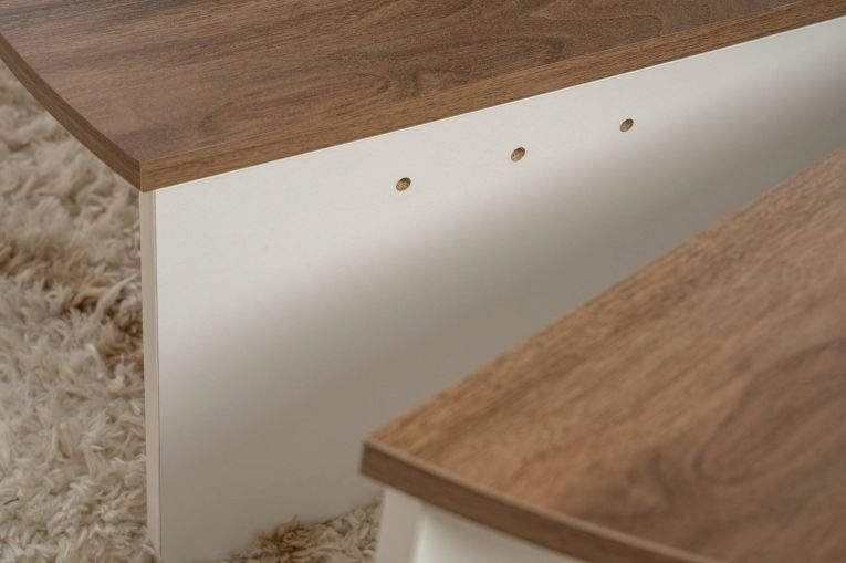 Tavolino da salotto Feglino, Tavolo basso da caffè, Portariviste per divano, Ripiano da soggiorno, 90x60 h35 cm, Noce e Bianco