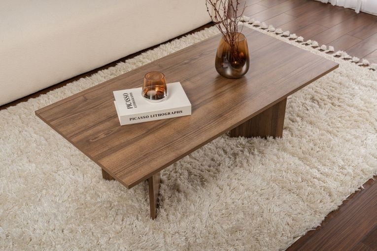Tavolino da Salotto Marrone Noce Forma Rettangolare Materiale Piano in Legno Nobilitato 119x60x40h cm, Colore Ripiano Marrone - Turate