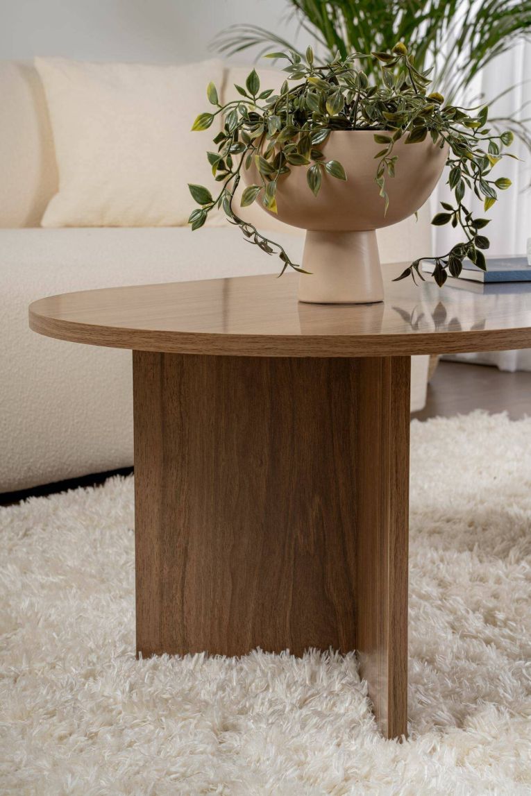 Tavolino da Salotto Marrone Noce Peso Massimo Supportato 20 kg Forma Rettangolare 119x60x40h cm, Sfumatura Colore Ripiano Noce - Elain