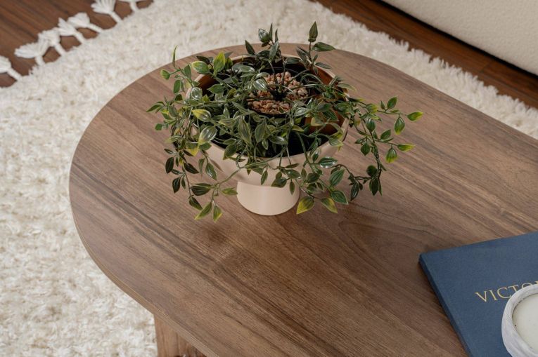 Tavolino da Salotto Marrone Noce Peso Massimo Supportato 20 kg Forma Rettangolare 119x60x40h cm, Sfumatura Colore Ripiano Noce - Elain