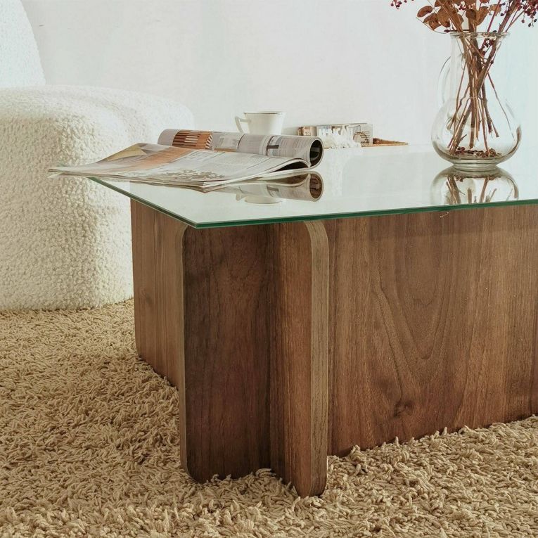 Tavolino da Salotto Marrone Noce Portariviste Angoli Arrotondati Forma Rettangolare 105x65x40h cm, Colore Ripiano Trasparente - Teti