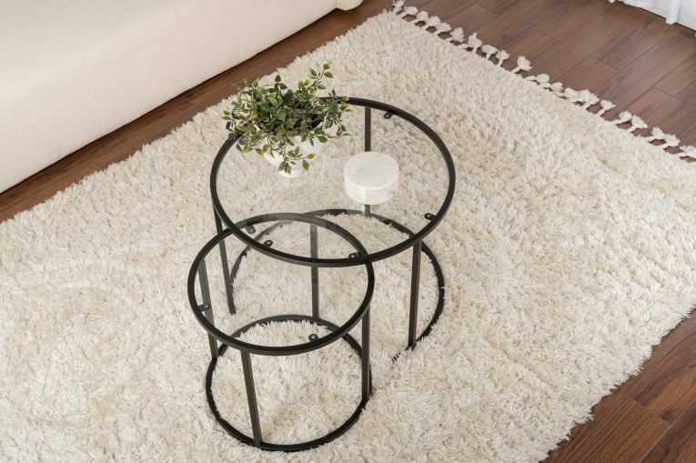 Tavolino da Salotto Nero set di 2 Tavolini Forma Rotondo 60x60x43h cm, Materiale Piano in Vetro - Xaden