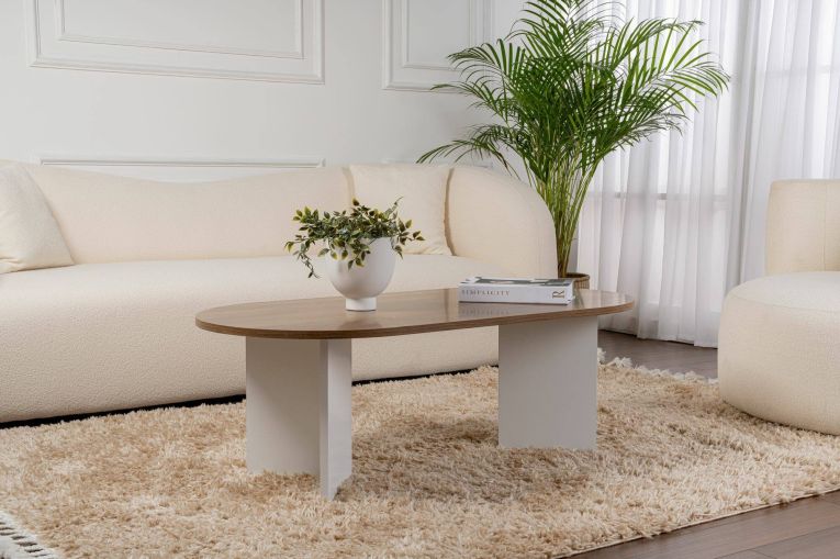 Tavolino da salotto Parrano, Tavolo basso da caffè, Portariviste per divano, Ripiano da soggiorno, 119x60 h40 cm, Noce e Bianco