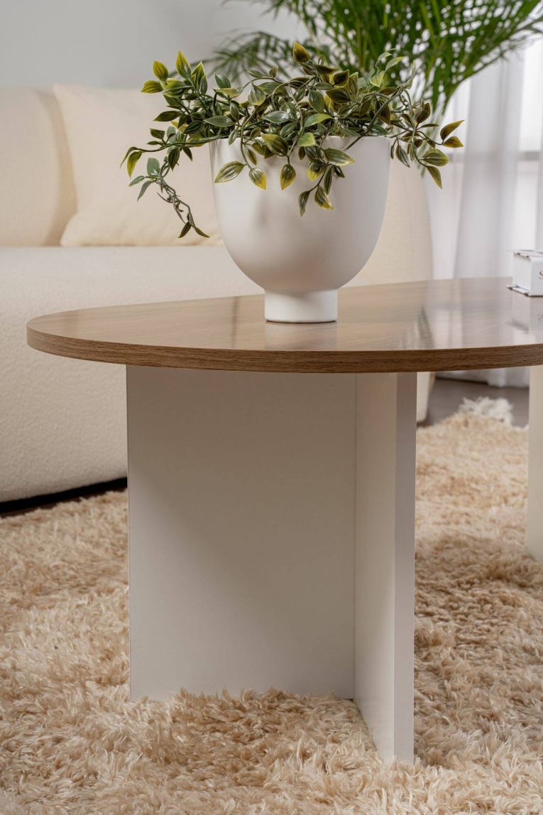 Tavolino da salotto Parrano, Tavolo basso da caffè, Portariviste per divano, Ripiano da soggiorno, 119x60 h40 cm, Noce e Bianco
